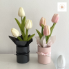 hoa-tulip-gia